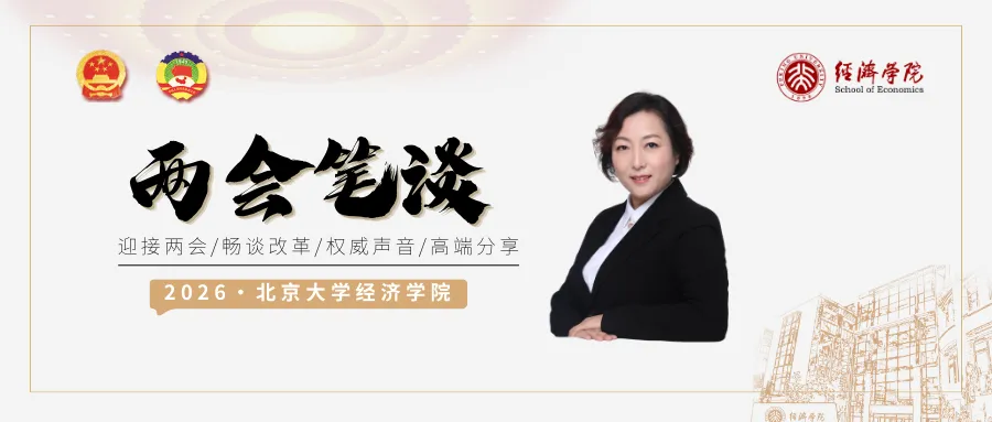 北大经院两会笔谈 | 许云霄：“十五五”期间政府债务长效管理机制的构建